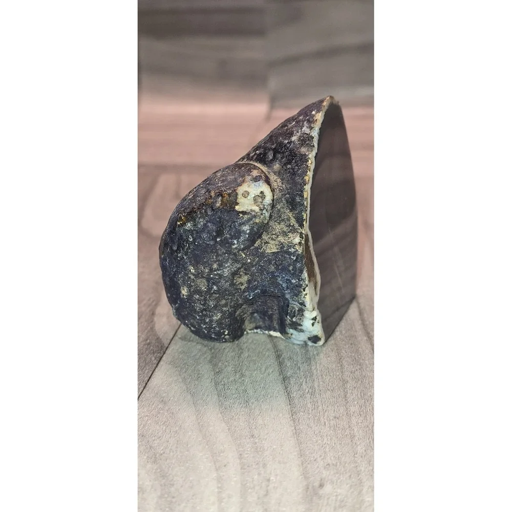 agate mineral specimen with visible concentric banding and a crystalline center